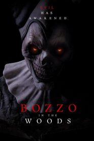 Yify Bozzo in the woods 2025