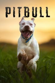 Yify Pitbull 2018
