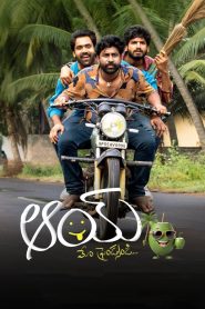 Yify Aay 2024