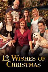 Yify 12 Wishes of Christmas 2011
