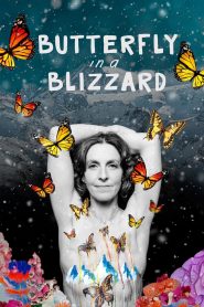 Yify Butterfly in a Blizzard 2025