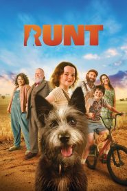 Yify Runt 2024