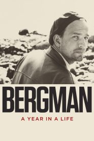 Yify Bergman: A Year in a Life 2018