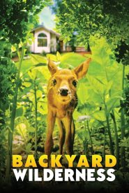 Yify Backyard Wilderness 2018