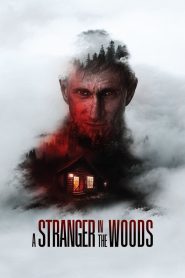 Yify A Stranger in the Woods 2024