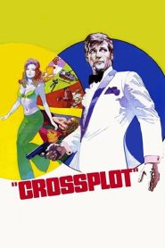 Yify Crossplot 1969