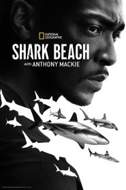 Yify Shark Beach with Anthony Mackie 2024