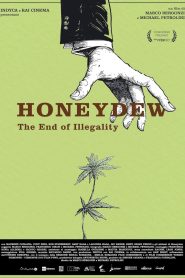 Yify Honeydew 2024