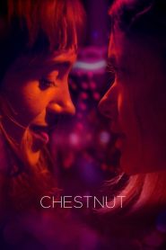 Yify Chestnut 2024