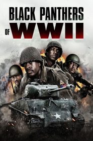 Yify Black Panthers of WWII 2025