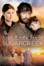 Yify Love Finds You In Sugarcreek 2014