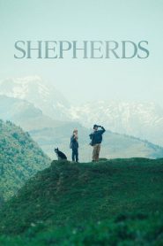 Yify Shepherds 2024