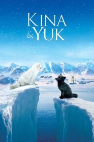 Yify Kina & Yuk 2023