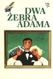 Yify Adam’s Two Ribs 1964