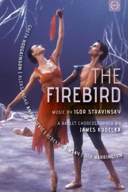 Yify The Firebird 2003