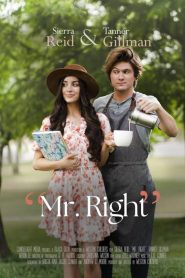 Yify Mr. Right 2023