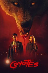 Yify Coyotes 2025