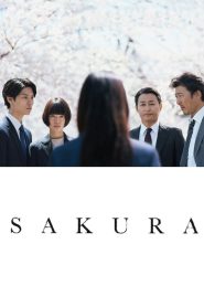 Yify Sakura 2024
