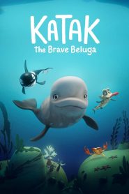 Yify Katak: The Brave Beluga 2023