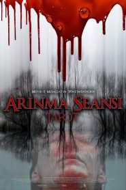 Yify Purification Session – Tarot 2022