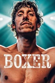 Yify Boxer 2024