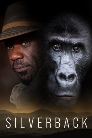 Yify Silverback 2024