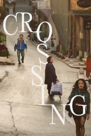 Yify Crossing 2024