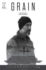 Yify Buğday 2017
