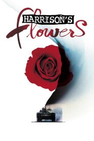 Yify Harrison’s Flowers 2000