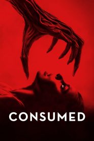 Yify Consumed 2024