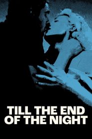 Yify Till the End of the Night 2023