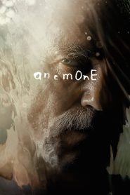 Yify Anemone 2025