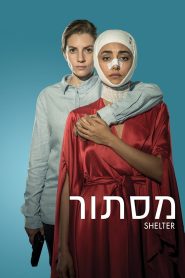 Yify Shelter 2017