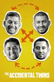 Yify The Accidental Twins 2024