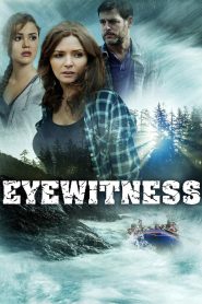 Yify Eyewitness 2015