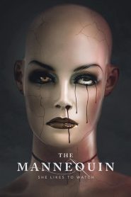 Yify The Mannequin 2025