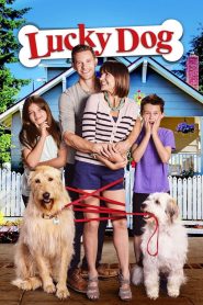 Yify Lucky Dog 2014
