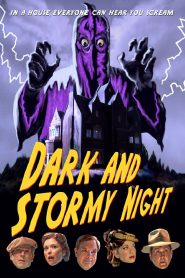 Yify Dark and Stormy Night 2009