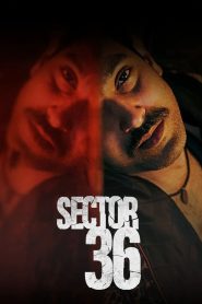 Yify Sector 36 2024