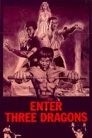 Yify Enter Three Dragons 1978