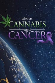 Yify About Cannabis and Cancer 2019
