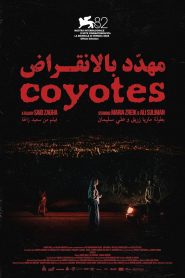 Yify Coyotes 2025