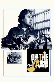 Yify On the Yard 1978