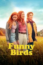 Yify Funny Birds 2024