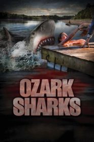 Yify Ozark Sharks 2016