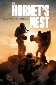 Yify The Hornet’s Nest 2014