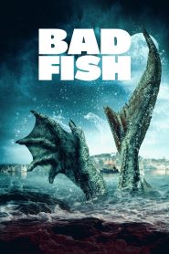Yify Bad Fish 2024
