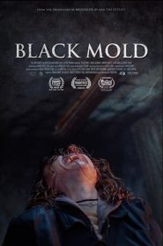 Yify Black Mold 2025
