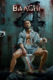 Yify Baaghi 4 2025