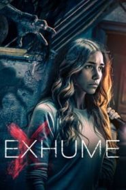 Yify Exhume 2016